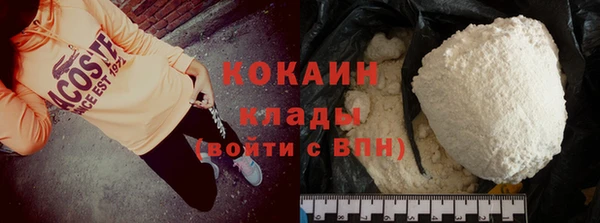 индика Богородицк