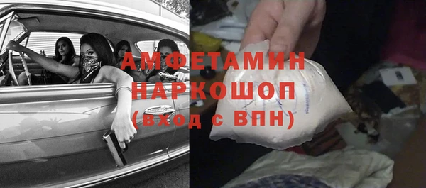 индика Богородицк