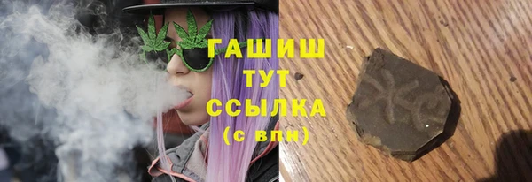 индика Богородицк