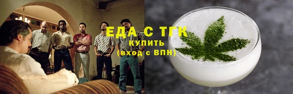 индика Богородицк