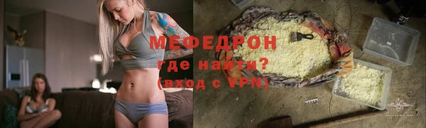 индика Богородицк