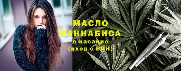 индика Богородицк