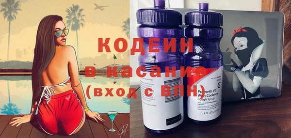 индика Богородицк