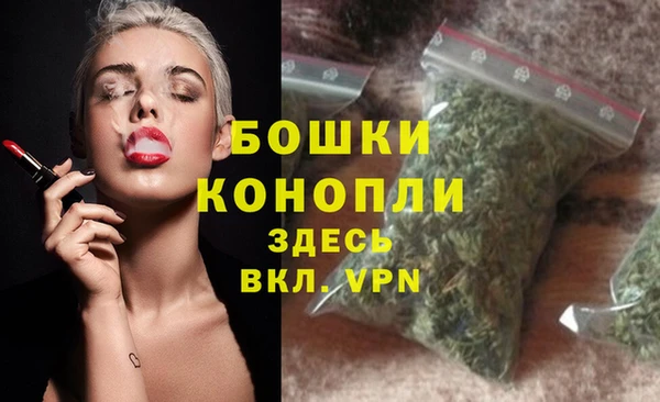 индика Богородицк