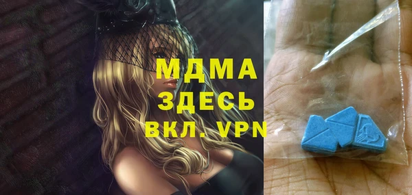 индика Богородицк
