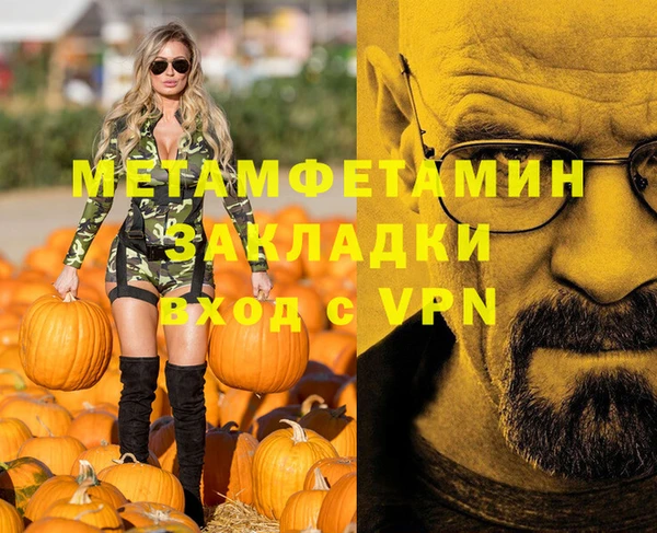 индика Богородицк
