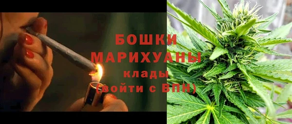 индика Богородицк