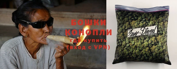индика Богородицк
