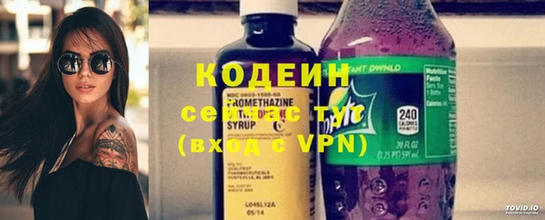 индика Богородицк