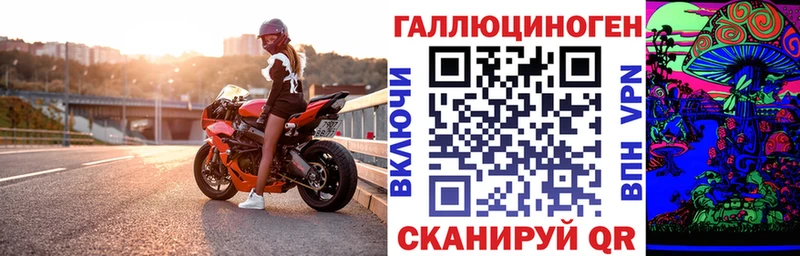 Купить закладки  Котельники  Галлюциногенные грибы Psilocybe 